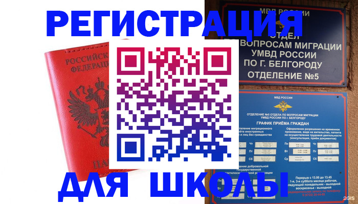 форма 3 в Сольцах